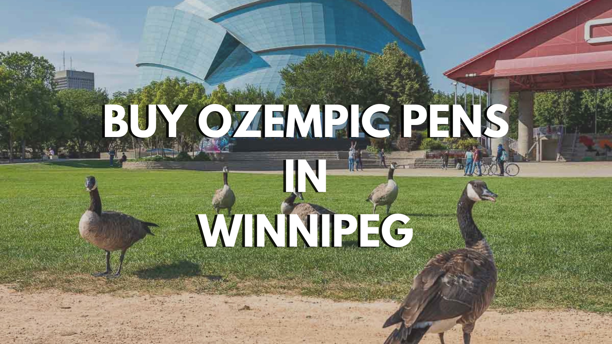 BUY OZEMPIC PENS IN WINNIPEG